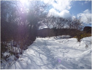 冬の阿武隈の山の魅力 蓬田岳 952M
