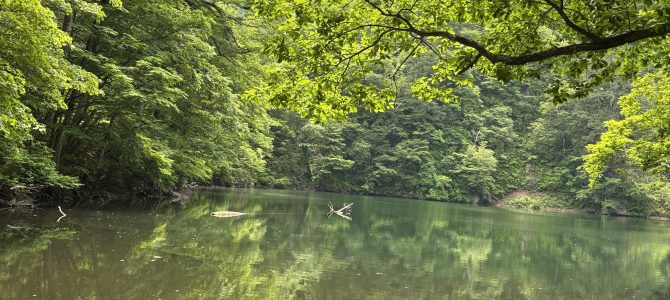 2025年6月 小野岳 沼尾口から 2025年6月 小野岳 沼尾口から
